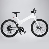 Flash v1 Lite - Electric Bike with Grip Throttle and Pedal Assist - B07CMGK98N
